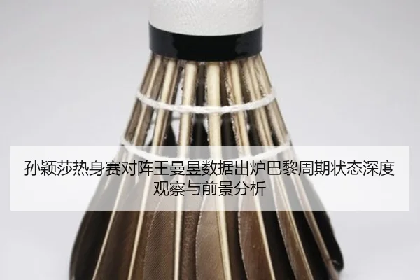 孙颖莎热身赛对阵王曼昱数据出炉巴黎周期状态深度观察与前景分析